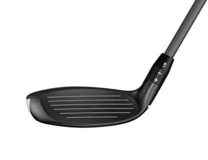 Quantum Max Hybrid