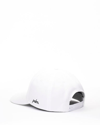 Need Money For Golf Snapback